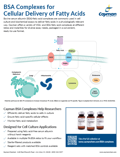 <p>​BSA Complexes for Cellular Delivery of Fatty Acids<br></p>